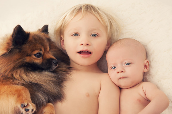 Baby photo of Samson and Elijah and pup taken by our Auckland baby photographer