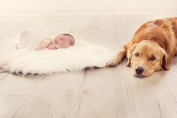 Salma and Bryan's Newborn and Pet Photo taken by our Auckland newborn photographer
