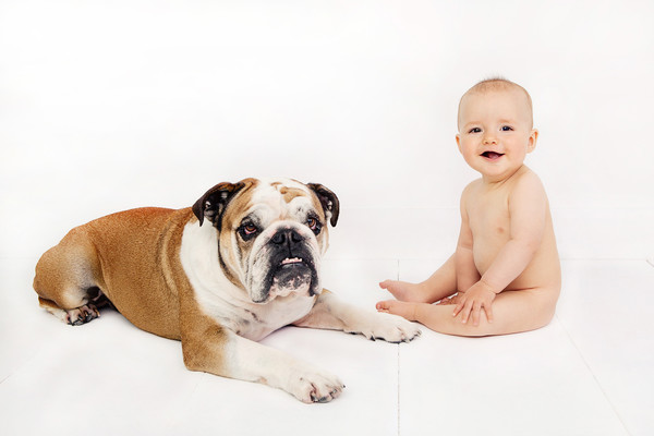 baby photos taken by our Auckland baby and dog photographer
