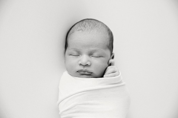 Auckland newborn baby photographer Milk photography studios photo of little Max 