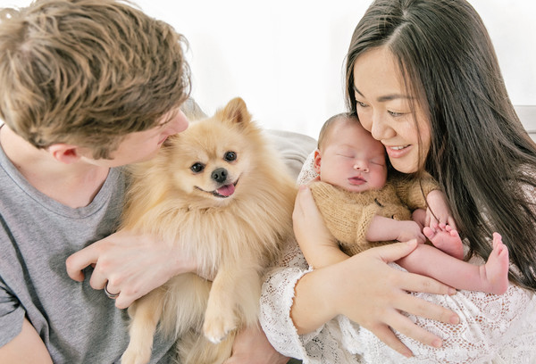 pet and family newborn photography 