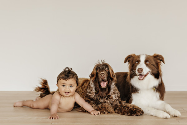 Baby and dog photographer Auckland 
