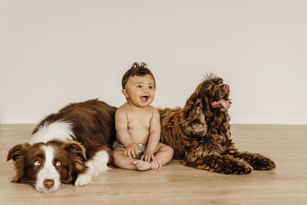 Auckland baby and dog photographer Auckland 